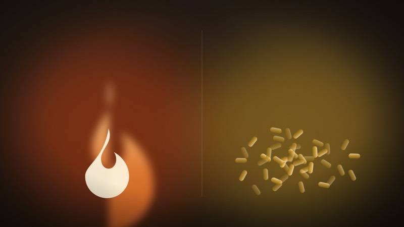 Illustration : flamme de bûche face aux granulés